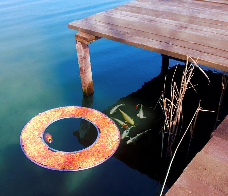 Wybór miejsca na karmnik dla ryb