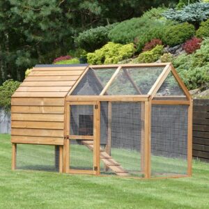 Jak obliczyć koszt budowy kurnika i na co zwrócić uwagę?