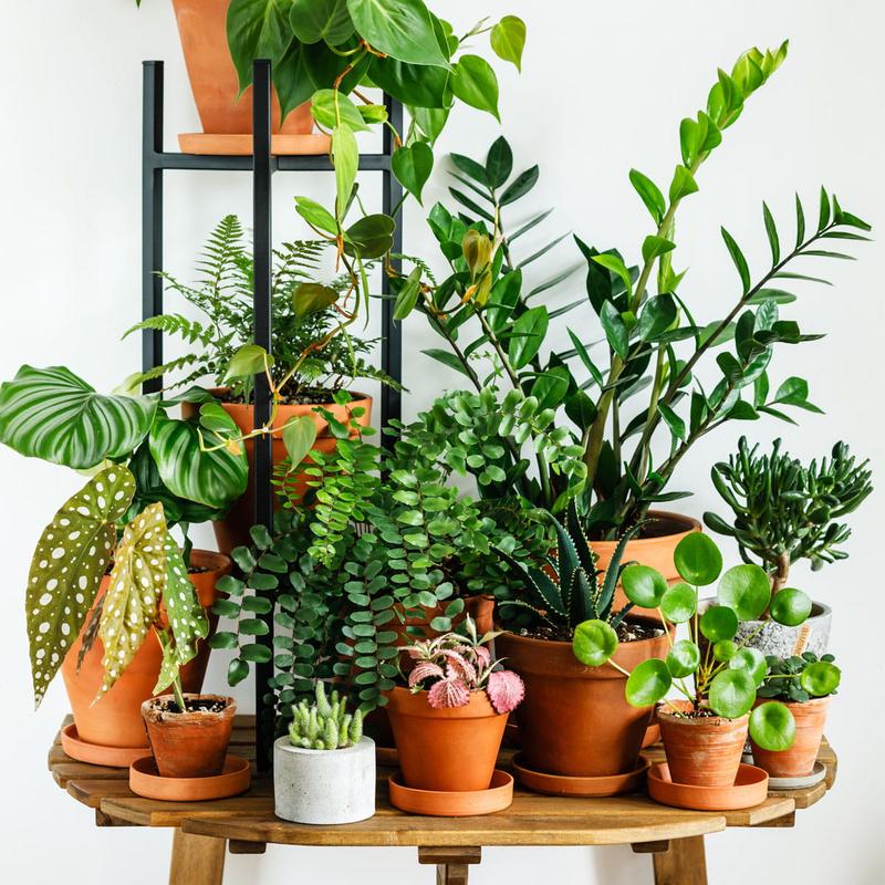 Malowanie doniczek glinianych