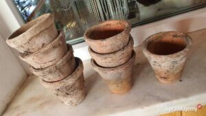 Odkryj, jakimi farbą pomalować doniczki gliniane, aby dodać im charakteru