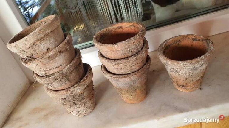 Odkryj, jakimi farbą pomalować doniczki gliniane, aby dodać im charakteru
