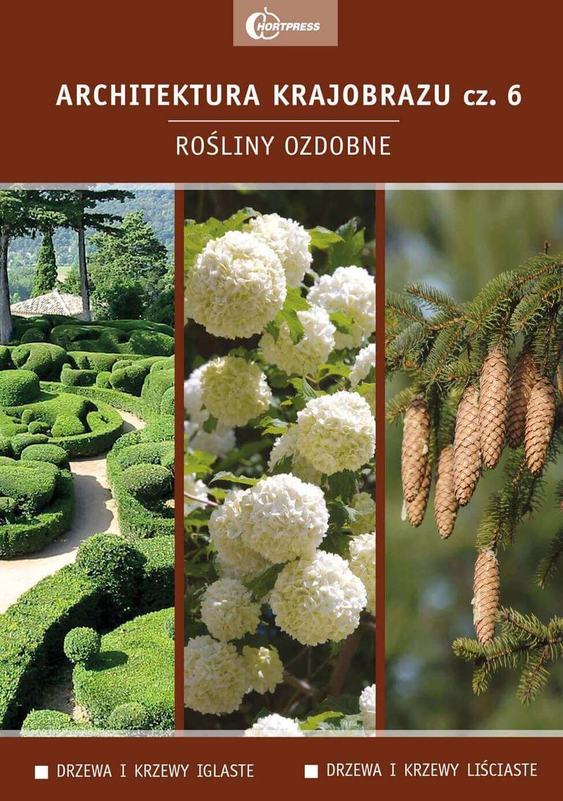 Byliny i krzewy przy elewacji