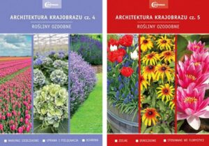 Idealne rośliny do posadzenia wzdłuż ściany domu – stwórz zieloną oazę!