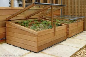 Przewodnik po budowie inspektu – krok po kroku dla każdego ogrodnika