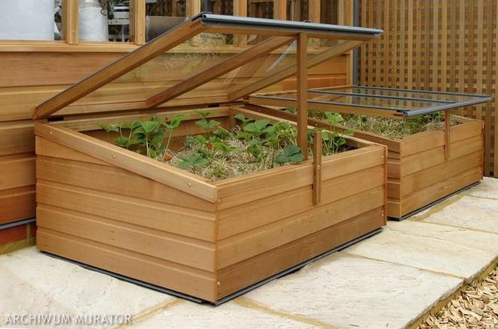 Przewodnik po budowie inspektu – krok po kroku dla każdego ogrodnika