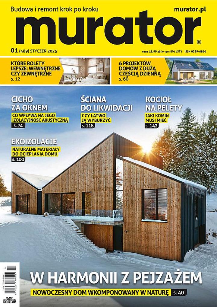 Budowa domu szkieletowego z drewna