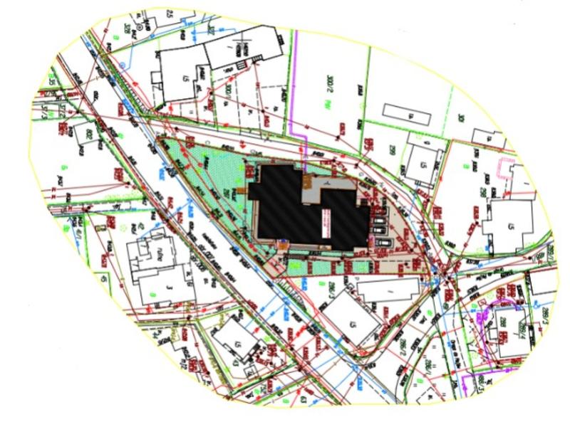 Przepisy ochrony drzew i krzewów na budowie
