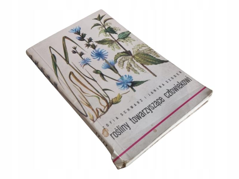 Rośliny towarzyszące tulipanom